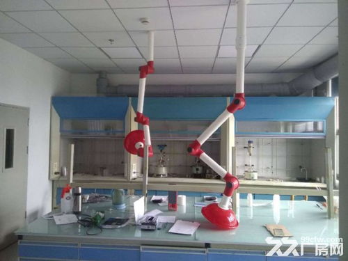 聚焦104板塊 生物醫藥與化工研發新園區——環評無憂，創新驅動未來